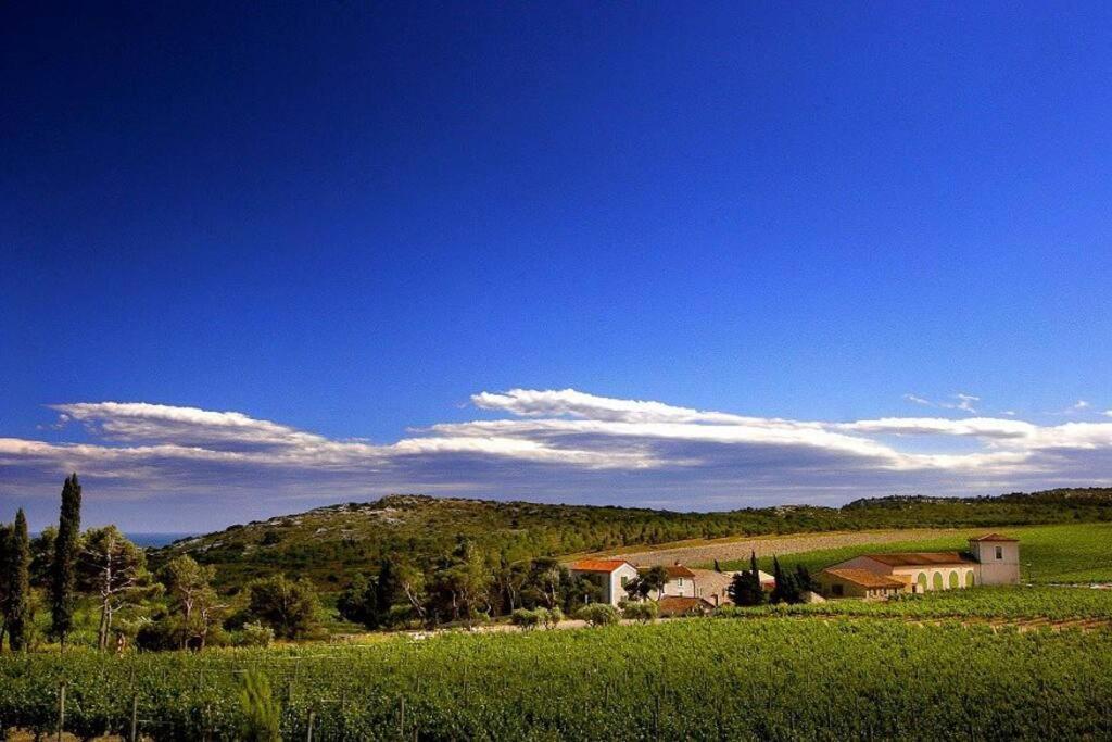 Saint-Pierre-la-Mer  Entre Mer Et Garrigue מראה חיצוני תמונה