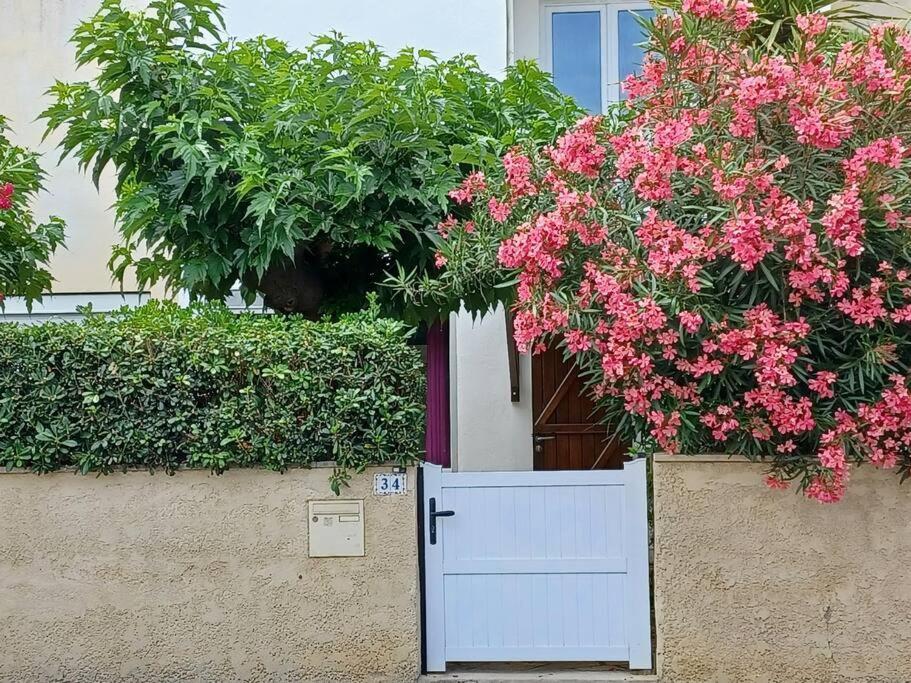 Saint-Pierre-la-Mer  Entre Mer Et Garrigue מראה חיצוני תמונה